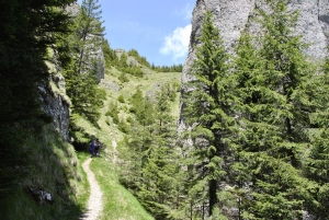 Ceahlau - trails